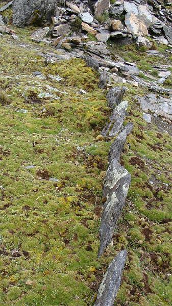 Illampu Trek Steves (17).JPG